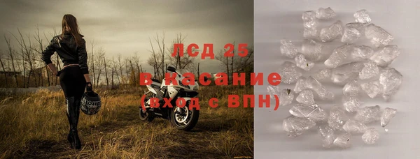 сатива Володарск