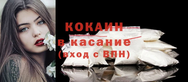 сатива Волоколамск