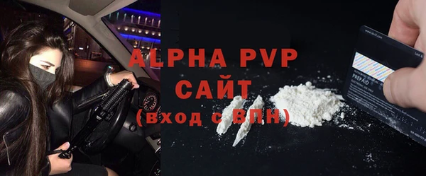 сатива Волоколамск