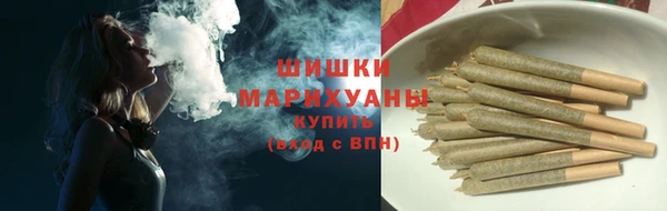сатива Волоколамск